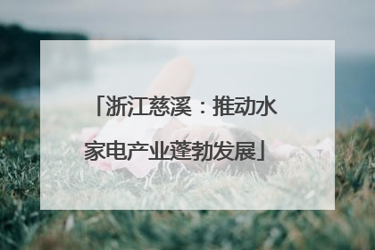 浙江慈溪：推动水家电产业蓬勃发展