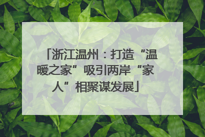 浙江温州：打造“温暖之家”吸引两岸“家人”相聚谋发展