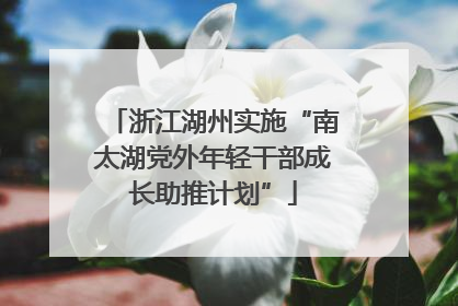 浙江湖州实施“南太湖党外年轻干部成长助推计划”
