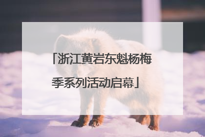 浙江黄岩东魁杨梅季系列活动启幕