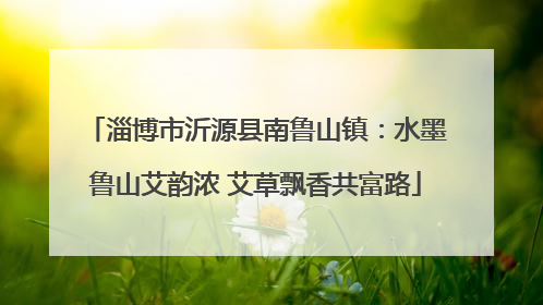 淄博市沂源县南鲁山镇：水墨鲁山艾韵浓 艾草飘香共富路