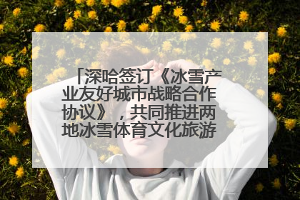 深哈签订《冰雪产业友好城市战略合作协议》，共同推进两地冰雪体育文化旅游高质量发展