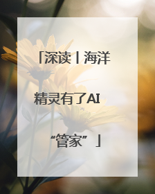 深读丨海洋精灵有了AI“管家”