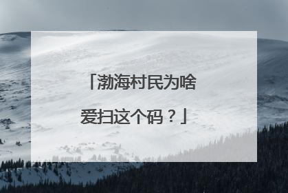 渤海村民为啥爱扫这个码？