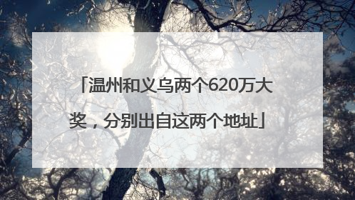 温州和义乌两个620万大奖，分别出自这两个地址