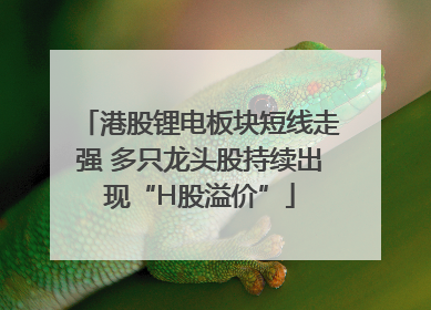 港股锂电板块短线走强 多只龙头股持续出现“H股溢价”