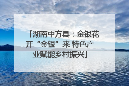 湖南中方县：金银花开“金银”来 特色产业赋能乡村振兴