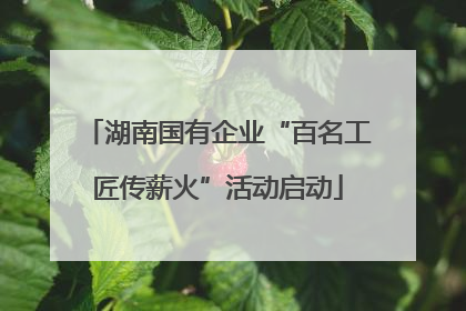 湖南国有企业“百名工匠传薪火”活动启动
