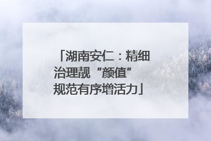 湖南安仁：精细治理靓“颜值” 规范有序增活力