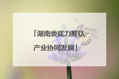 湖南娄底力推钛产业协同发展