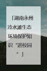 湖南永州冷水滩生态环境保护知识“进校园”