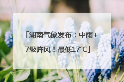 湖南气象发布：中雨+7级阵风！最低17℃