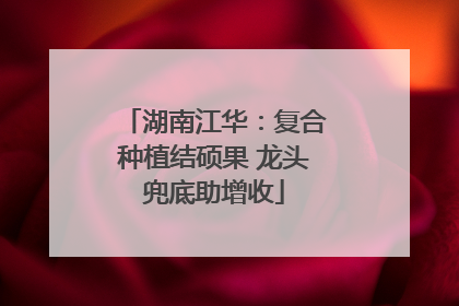 湖南江华：复合种植结硕果 龙头兜底助增收