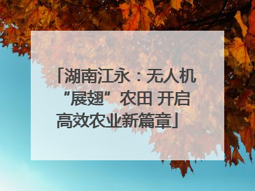 湖南江永：无人机“展翅”农田 开启高效农业新篇章