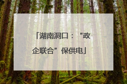 湖南洞口：“政企联合”保供电