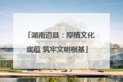 湖南道县：厚植文化底蕴 筑牢文明根基