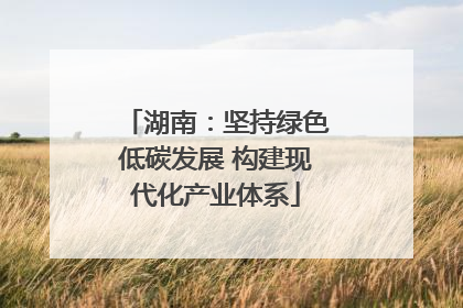 湖南：坚持绿色低碳发展 构建现代化产业体系