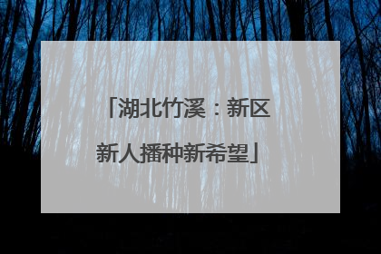湖北竹溪：新区新人播种新希望