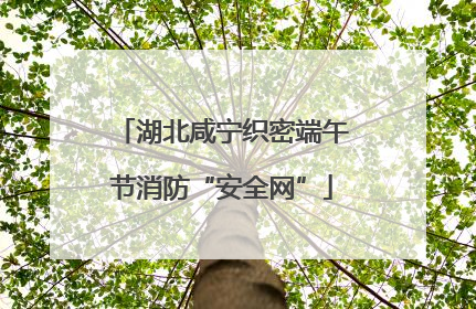 湖北咸宁织密端午节消防“安全网”