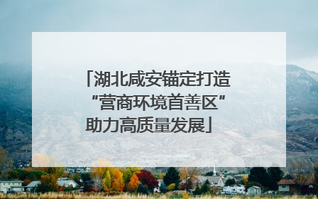 湖北咸安锚定打造“营商环境首善区”助力高质量发展