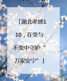 湖北孝感110，在变与不变中守护“万家安宁”