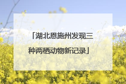 湖北恩施州发现三种两栖动物新记录