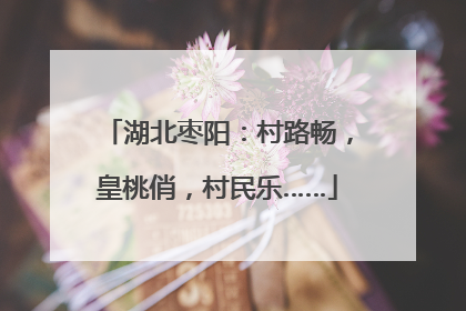 湖北枣阳:村路畅,皇桃俏,村民乐……
