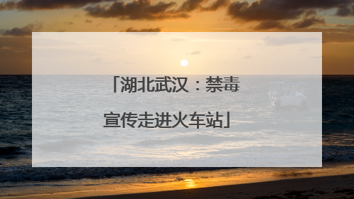 湖北武汉：禁毒宣传走进火车站