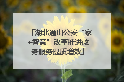 湖北通山公安“家+智慧”改革推进政务服务提质增效