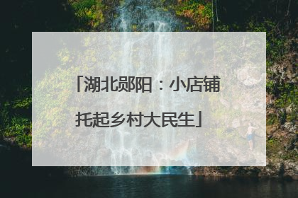 湖北郧阳：小店铺托起乡村大民生