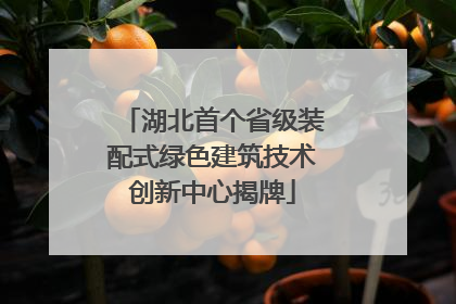 湖北首个省级装配式绿色建筑技术创新中心揭牌
