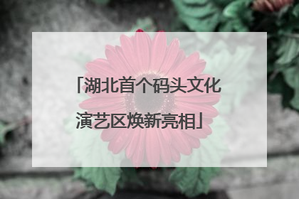 湖北首个码头文化演艺区焕新亮相