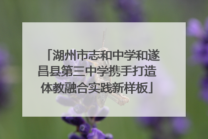 湖州市志和中学和遂昌县第三中学携手打造体教融合实践新样板