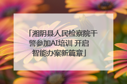 湘阴县人民检察院干警参加AI培训 开启智能办案新篇章