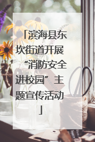 滨海县东坎街道开展“消防安全进校园”主题宣传活动