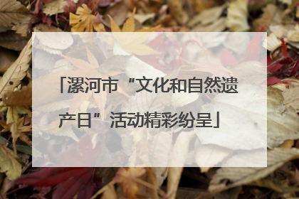 漯河市“文化和自然遗产日”活动精彩纷呈