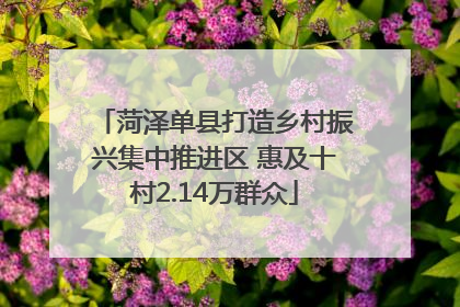 菏泽单县打造乡村振兴集中推进区 惠及十村2.14万群众