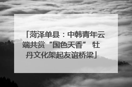 菏泽单县：中韩青年云端共赏“国色天香” 牡丹文化架起友谊桥梁
