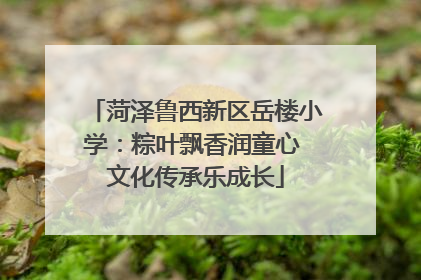 菏泽鲁西新区岳楼小学：粽叶飘香润童心 文化传承乐成长