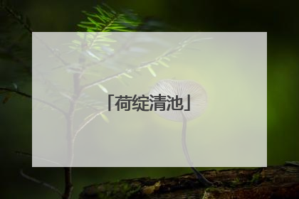 荷绽清池