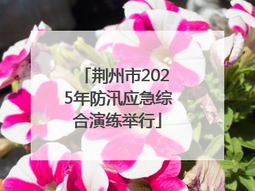 荆州市2025年防汛应急综合演练举行