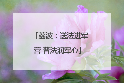 荔波：送法进军营 普法润军心