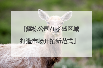 耀栋公司在孝感区域打造市场开拓新范式
