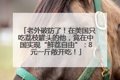 老外破防了！在美国只吃荔枝罐头的他，竟在中国实现“鲜荔自由”：8元一斤敞开吃！