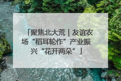 聚焦北大荒｜友谊农场“稻耳轮作”产业振兴“花开两朵”