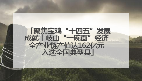 聚焦宝鸡“十四五”发展成就丨岐山“一碗面”经济全产业链产值达162亿元 入选全国典型县