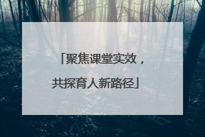 聚焦课堂实效，共探育人新路径
