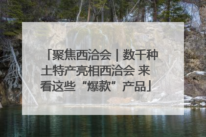 聚焦西洽会｜数千种土特产亮相西洽会 来看这些“爆款”产品