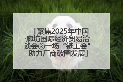 聚焦2025年中国·廊坊国际经济贸易洽谈会③一场“链主会” 助力厂商破圈发展