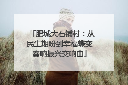 肥城大石铺村：从民生期盼到幸福蝶变奏响振兴交响曲